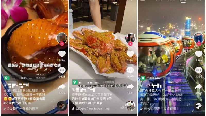 保姆的专业素养是保证服务质量的关键。可以从以下几个方面进行考察：